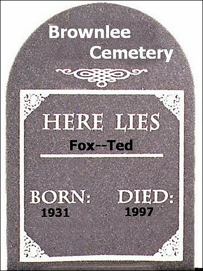 fox-97.jpg