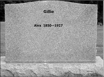 gillie-27.jpg